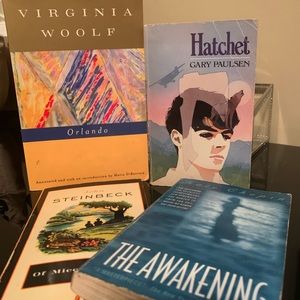 Classics book bundle